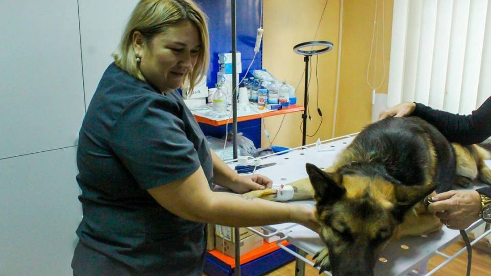 Яна Кунченко за роботою в Сєвєродонецьку