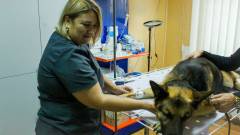 Яна Кунченко за роботою в Сєвєродонецьку