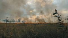 пожежа в Луганській області