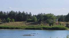 Чисте озеро, Сєвєродонецьк