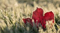 заморозки мороз погода осінь