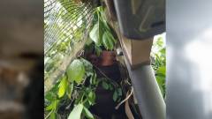 снайпер, зсу, військовий