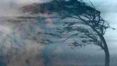 вітер погода