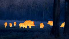 тепловизор