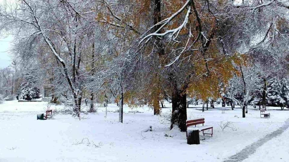 Зимове Рубіжне