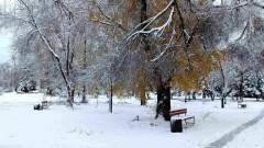 Зимове Рубіжне