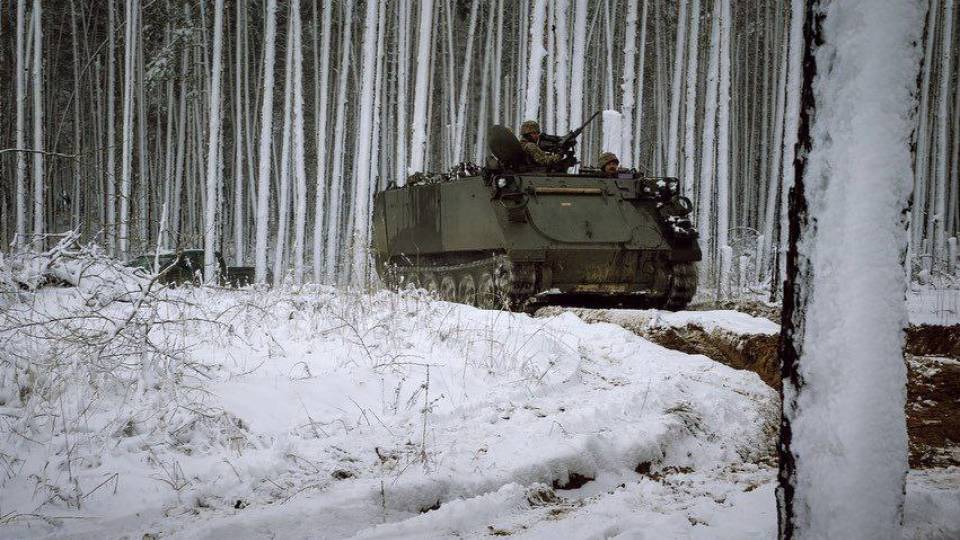 ліс Луганщина