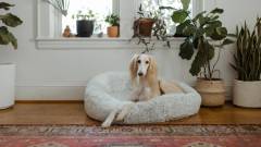 Хутряні лежаки для собак