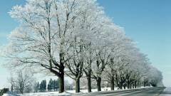 сніг ожеледиця дорога зима погода