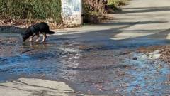 прорив каналізація маріуполь