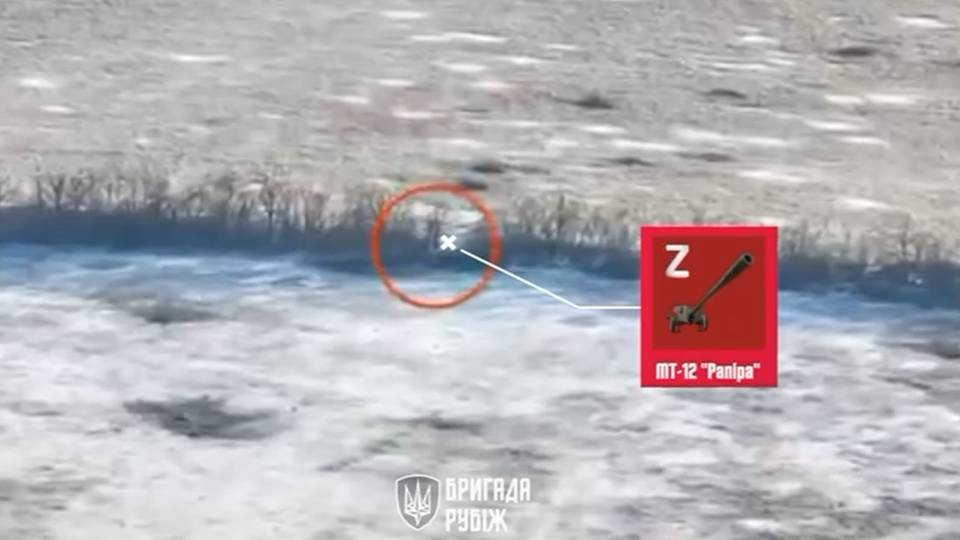 рапіра