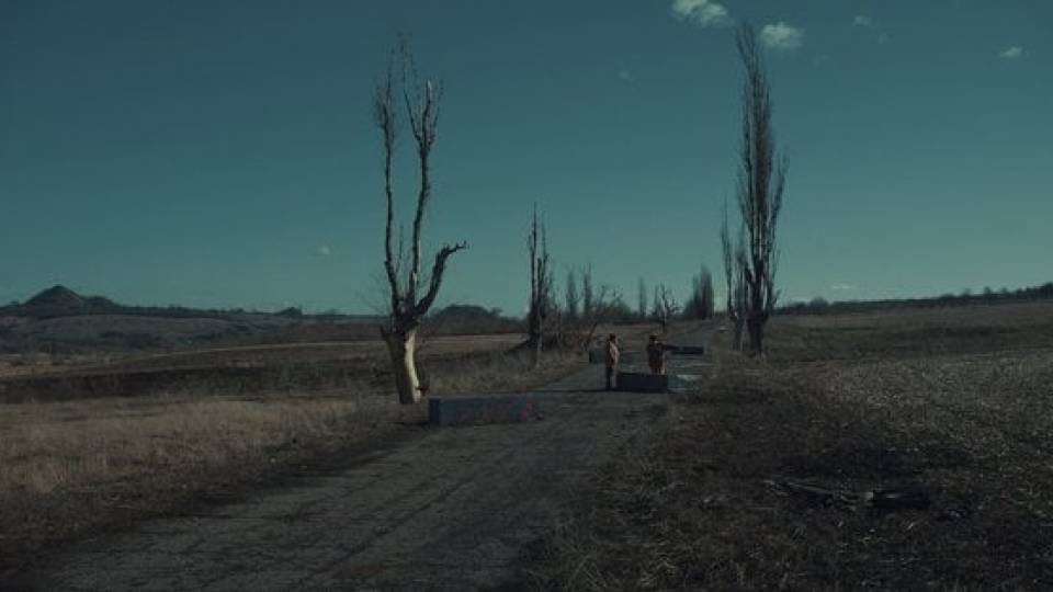 "Сірі бджоли" окупація