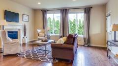 шторы в гостиную