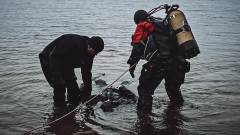 Київ, затока Доманя