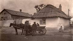 Ukrainian houses of Kamiany Brod at the beginning of the 20th century.