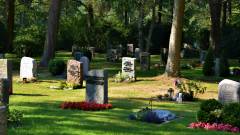 кладовище пам'ятник