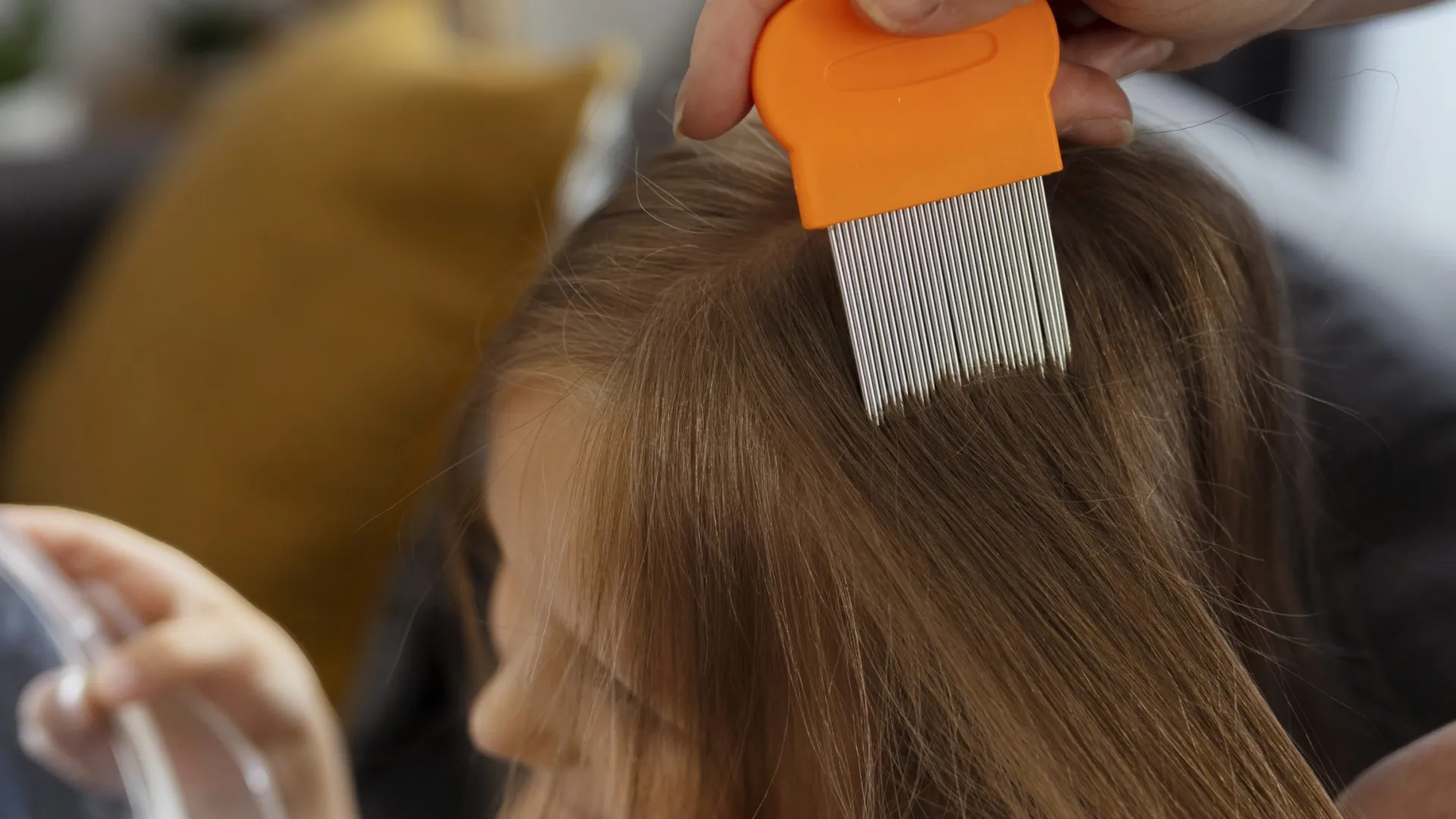 Чем убрать гнид с волос. Расческа для выведения вшей. Вычесывание вшей. Чем убрать гнид с волос. Гребешок вычесывать вшей.