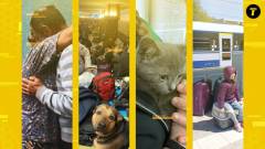 волонтери Рубікус