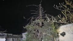 обстріли ніч