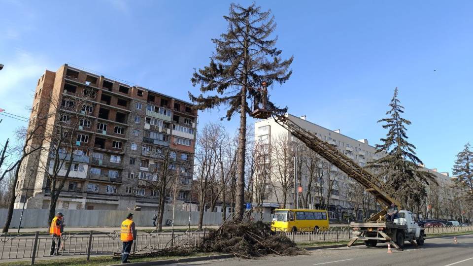 зрубування дерев у маріуполі, екоцид