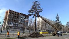 зрубування дерев у маріуполі, екоцид