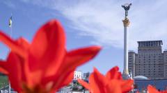 Київ квіти тюльпан Майдан незалежності