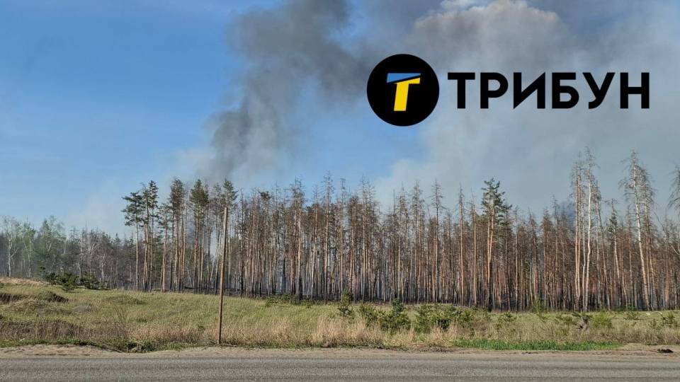 Лісові пожежі