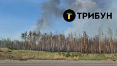 Лісові пожежі