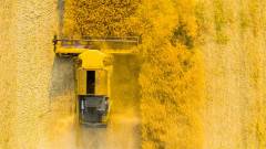 агробізнес сільське господарство