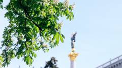 каштан майдан незалежності київ